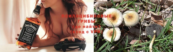 герыч Вязьма