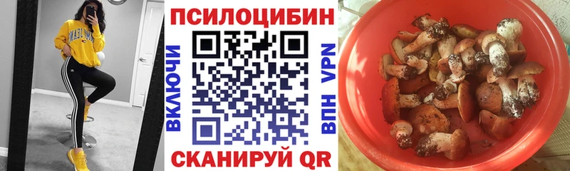 Псилоцибиновые грибы Cubensis  где купить наркоту  Западная Двина 